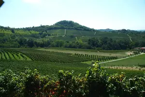 A beautiful Italian winery for sale in the heart of the Langhe wine region. Includes a fabulous restaurant and much much more all for only...