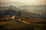 Wine tours in Italy are truly an unforgettable experience. What could be better than tasting some of the world's best wines in a landscape offering some of the most beautiful scenery on earth.  These 