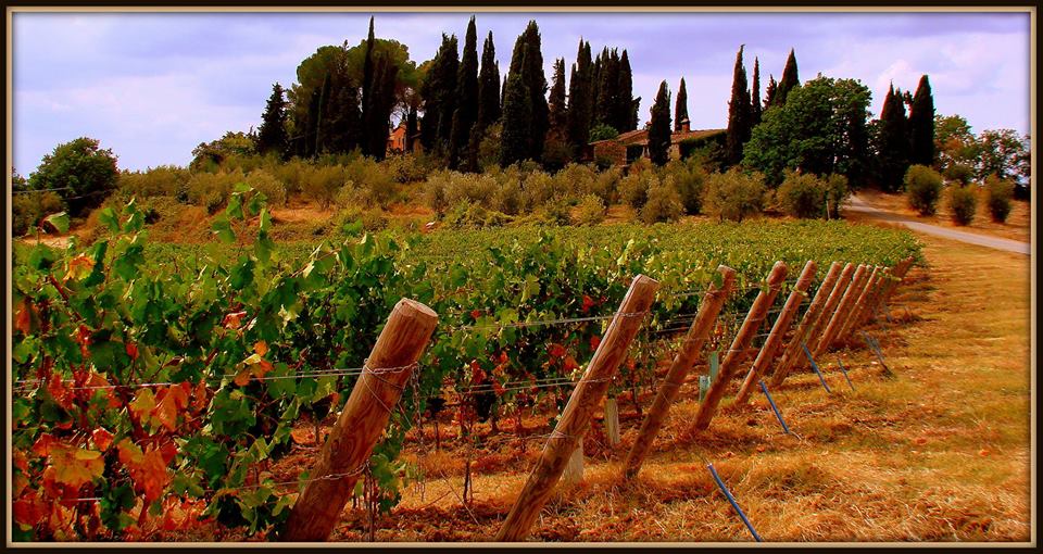 Chianti Tuscany by Hans Vingerhoed