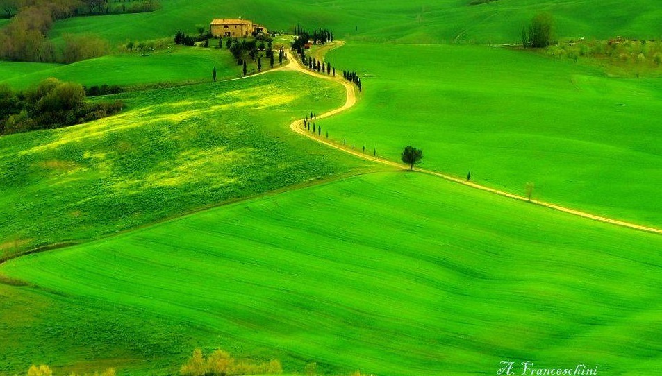 Tuscan Hills