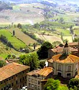 Tuscany's wine farms