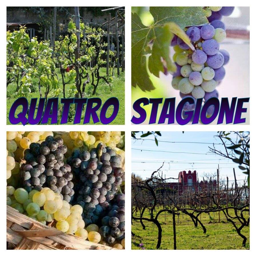 Four Seasons of Italian Wine