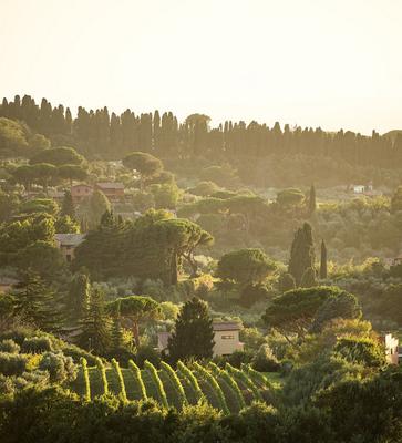  Frascati Hills  by Michelle Aschbacher 