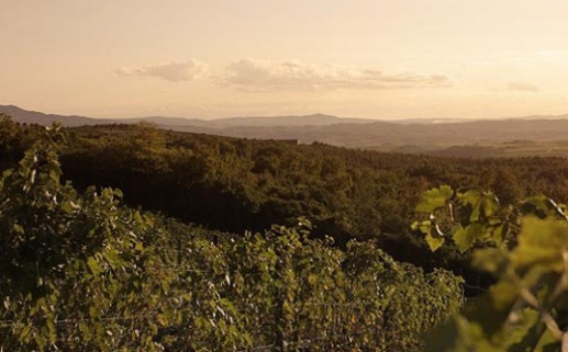 Tuscan Hill Tuscan Hill