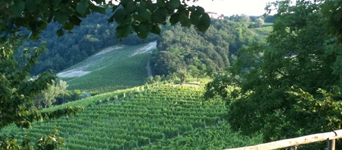 Italian White Wine Estates Italian White Wine Estates