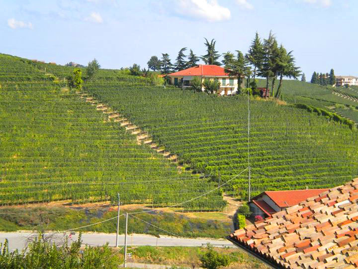 Next best thing to actually drinking a glass or two is to look at lovely photos of wine...Italian wine. Will you join us for a photo or two?