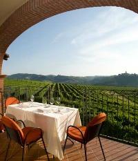 Piedmont Italy vineyards from the Tota Virginia  