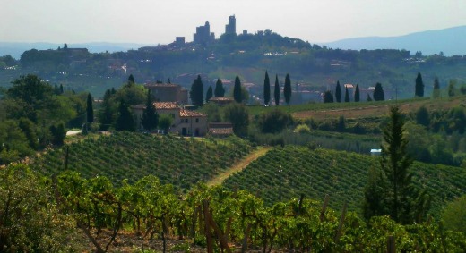 Italian wine photos and Italian winery pictures. A selection of superb wines and breathtaking vineyards from the wonderful land of Italy.