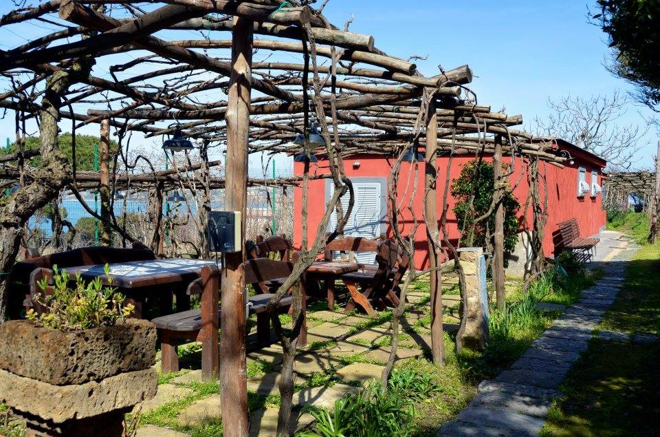 A short way from Naples there exists an incredible island of colored cottages and deep blue seas. Procida vines grow up the rocky hillsides above...