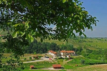 The Villa amongst the Vineyards The Villa amongst the Vineyards